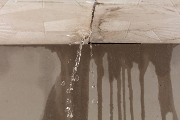 Professional Burst Pipe Cleanup technician working in Larue, TX